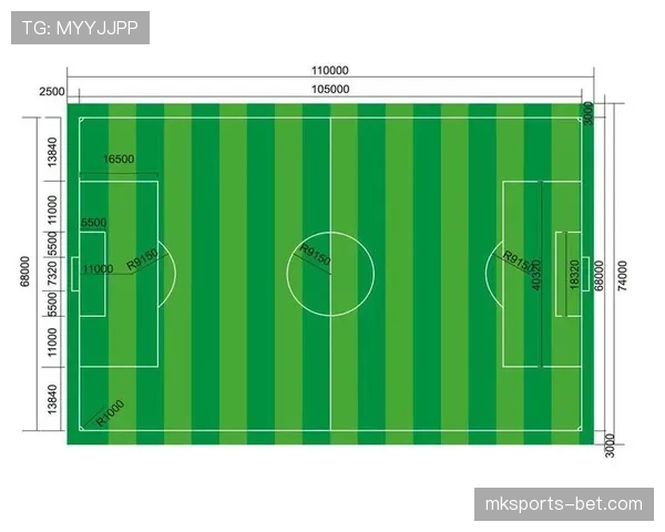 球门尺寸规则：比赛用门的标准宽高与青少年分级差异