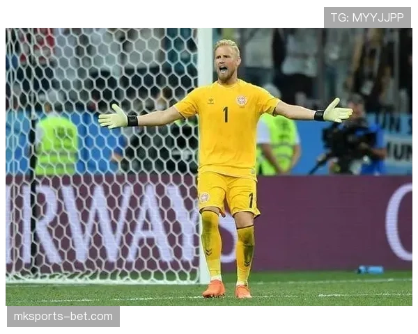 门将阻挡犯规判罚标准，哪些动作算违规容易被忽视？